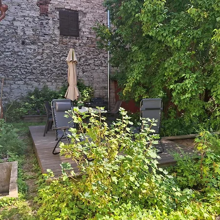 Villu Kalamaja - 4 Level With Sauna & Terrace * Tallinn