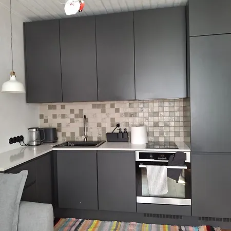 Villu Kalamaja - 4 Level With Sauna & Terrace 塔林